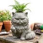 跨境趣味新款planter花盆
