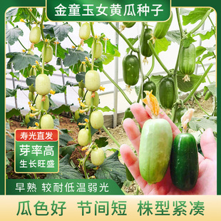 ͯˮSϷNŮˮSϷNļr߲˷N