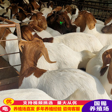 ���l����ɽ����� ���l�����ɽ��  ɽ�|�N���Bֳ������ĸ��r��