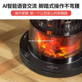 志高取暖器煮茶家用石墨烯节能语音智能围炉电暖器多功能电烤火炉