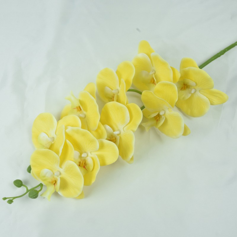 밝은 노란색
