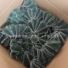 }QbՈdiyY[zzС}Q