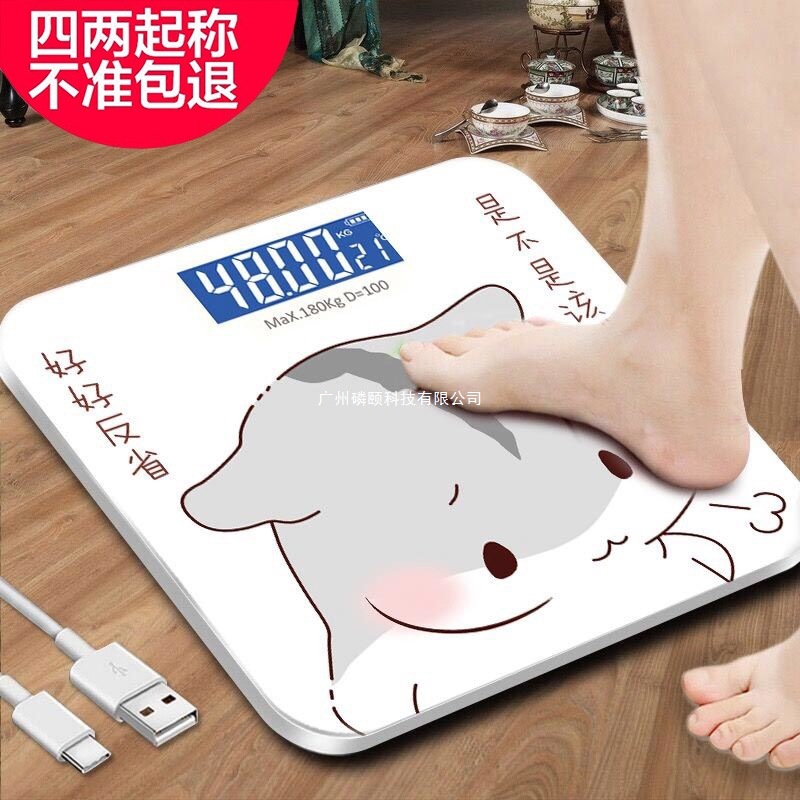 Weight Loss Adult Digital Weighing Scale Weighing Human Body Scale Charging Health Scale Meter Home USB