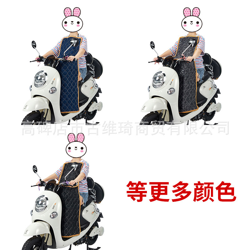 メーカーの卸売り電気自動車の防風は冬にベルベットに厚くなって、バッテリーバイクの防風カバーの防風保温を大きくした|undefined