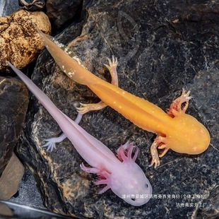 �����~���B�^�p�~���~��ˮ�~���������~��Ʒˮ��С����ˮ��B�~