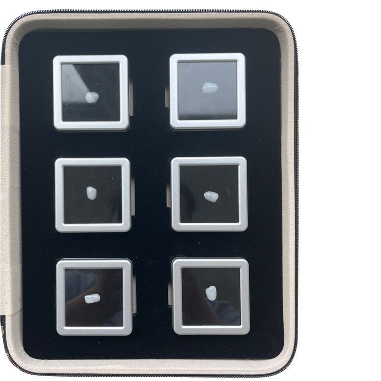 Caja de muestras de carillas dentales totalmente cerámica, portátil, con estuche de cuero con cremallera.