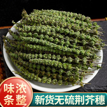 荆芥穗中药材500g野生新货荆芥中药材荆芥粉土荆芥大叶荆芥草线芥