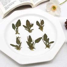 ��ɫ���~�ɻ������֙C���l�AѺ���NƬ����Ʒ�b�diy���ϰ�Ѻ��