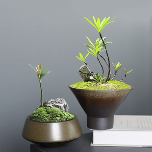 �~�X��ˮ���쾰�����մɄ��⺆�sˮ�ɸG׃�͹şo�����҃ȼ������l