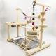 Parrot stand bird shelf interactive playground chain swing parrot climbing frame
