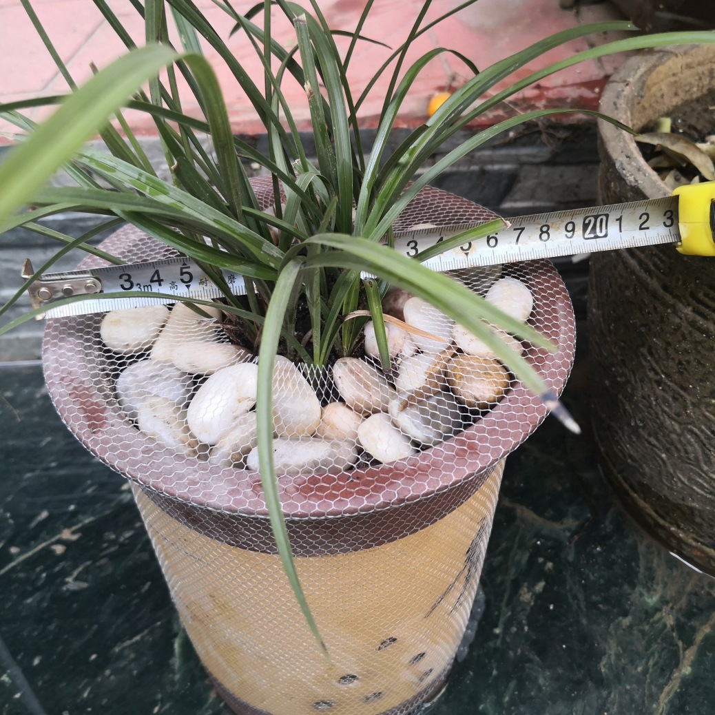 微信图片_20230408122259