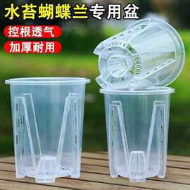 水苔蝴蝶兰专用花盆透明青山控根盆加厚大号透气兰花塑料花盆家用