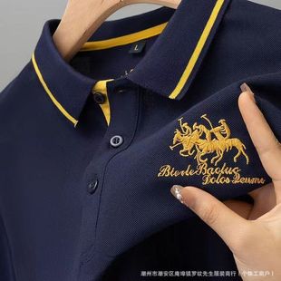 ��ɫ�羳�������t�����b2025�ļ���������ʿ�̽�POLO�����eT����