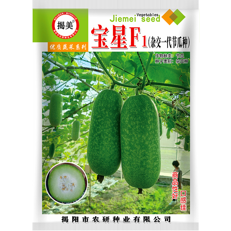揭美宝星FI短节瓜种子 杂交一代早熟绿皮小冬瓜毛节瓜籽 原装50粒