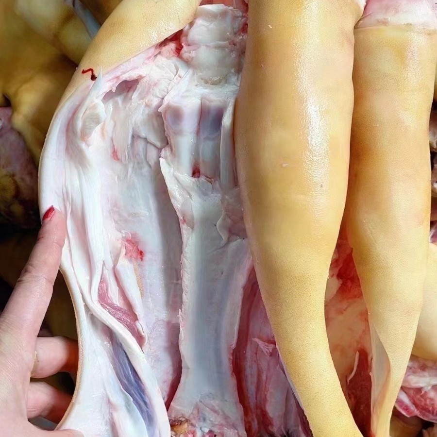 牛蹄子去骨带骨整只新鲜牛腿火烧退毛牛筋牛脚牛蹄整箱带牛筋蹄筋