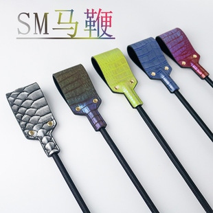 sm�R����ȤƤ���ӷ����Ԑ��������R�g�̱��Ɍ����ݵ����ز��R��