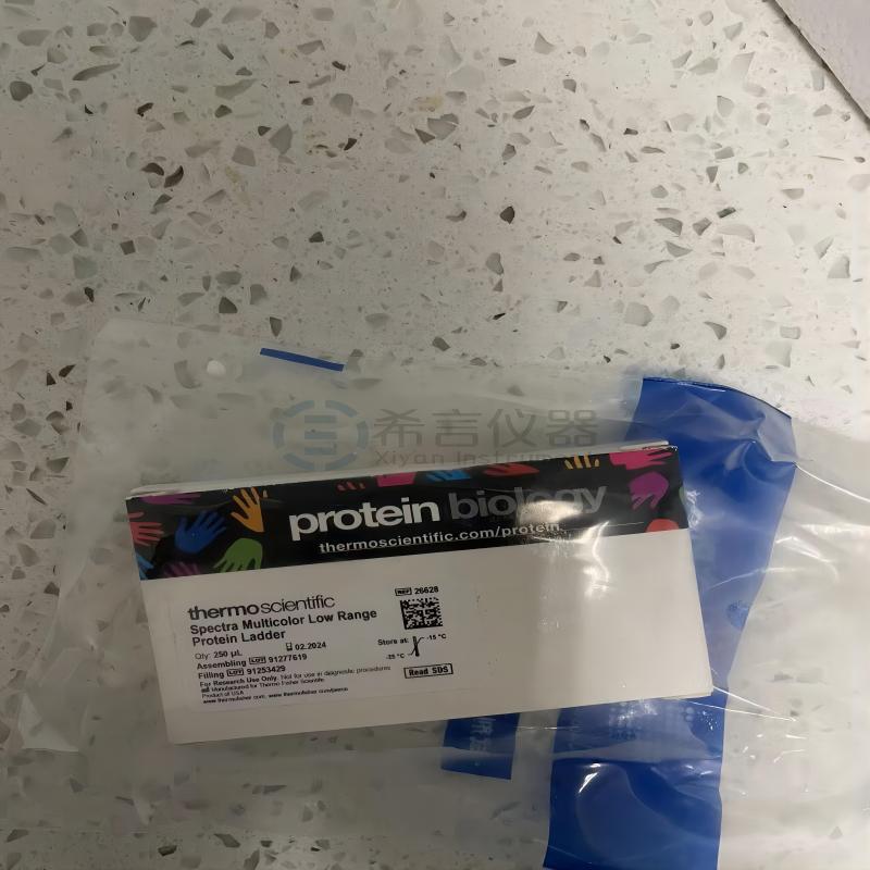 赛默飞Spectra 250?L多色低分子量蛋白分子量标准品 26628