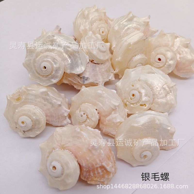 IMG_20210906_165805_副本