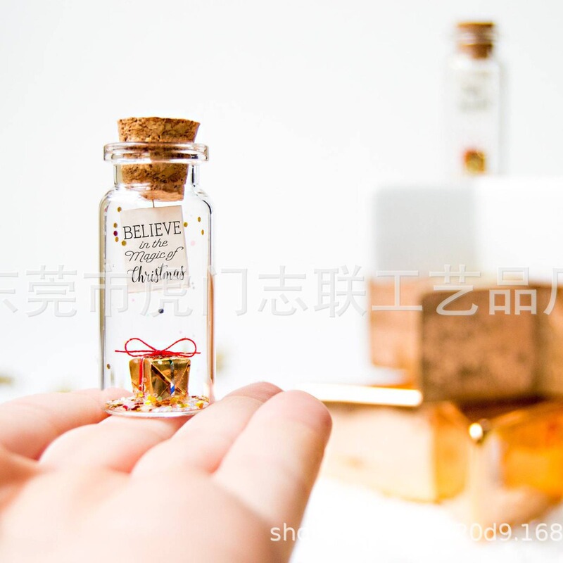 Boyfriend Christmas Gift Christmas Gift for Boyfriend funny Christmas card in bottle