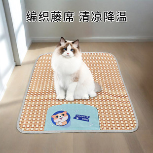 Cross-border Summer Pet Mat Dog Four Seasons Clear Mat Small and Large Dog Kennel Amazon Pet Supplies