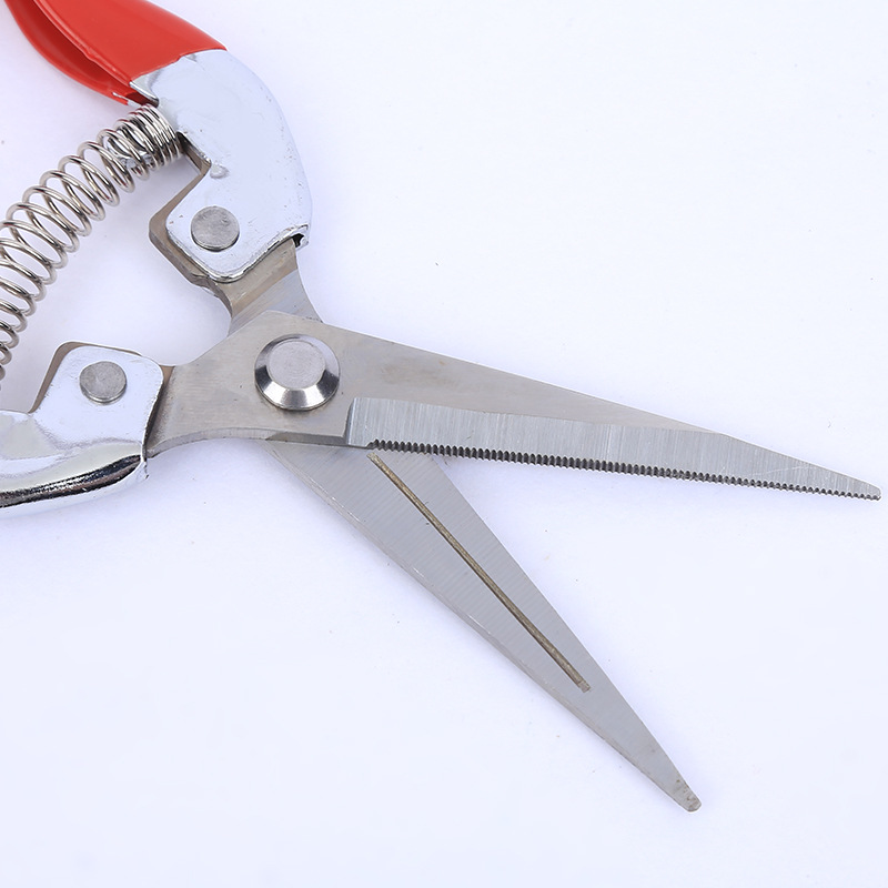 Fábrica de tijeras de ramas de acero inoxidable en stock huerto recoger tijeras de ramas de árboles frutales herramientas de bonsai cortar verduras y frutas tijeras