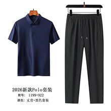 2026���¿����t��POLO�����b��ʿ�ļ��̄����e͸���H�w�ɼ���