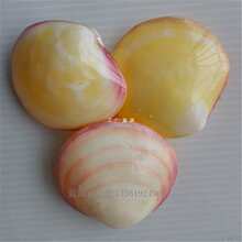 ��Ȼ����ؐ���p���۸� ������� �~���쾰�b� �������˶Y��