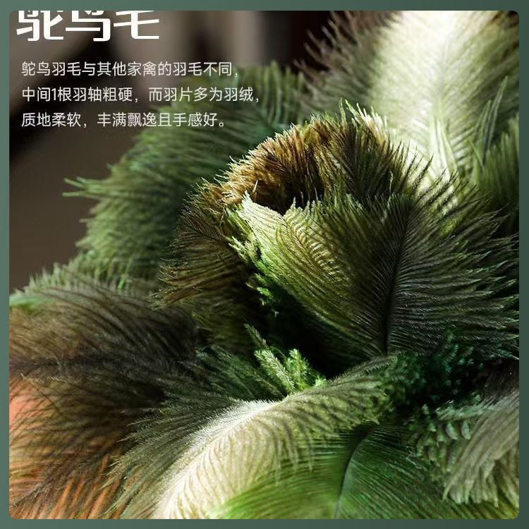 High-End Antibacterial Dust Duster, Household Cleaning Ornaments, Anti-Static, Lint-Free, High-End Decorative Feather Duster, Supports Drop Shipping High-End Antibacterial Dust Duster, Household Cleaning Ornaments, Anti-Static, Lint-Free, High-End Decorative Feather Duster, Supports Drop Shipping
