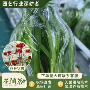 ���������m ���m 839ƿ��M�����״�� �҃������Ի��� ����r��