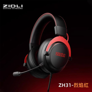 ZIDLI�ń���ZH31���C�^��ʽ�W��늸��Α���uUSB���ض��� ��λ