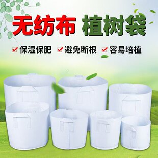 ��ɫ�o������������l��ֲ���Ӻ�������@ˇ�Nֲ���ɽ��������