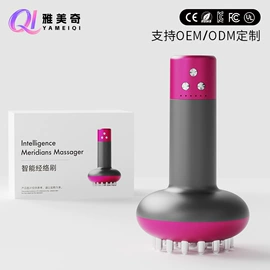 卷发/直发器;冲牙器;电动刮痧仪