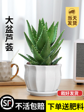 �J�C�����҃ȳ���ȩ�����՚⻨�ܾGֲ�k�������ƶ���ֲ���ļ����B