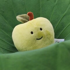 おいしいおいしい果物シリーズリンゴがおもちゃのぬいぐるみをなだめる