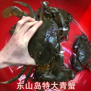 ������ҡ������|ɽ�ش���з�r��t��з�t�\з�M���з��зĸз