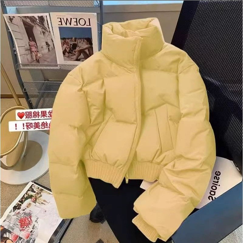 Корейская хлопчатобумажная хлопчатобумажная одежда женская 2024 осенняя и зимняя хлопковая куртка с толстым воротником