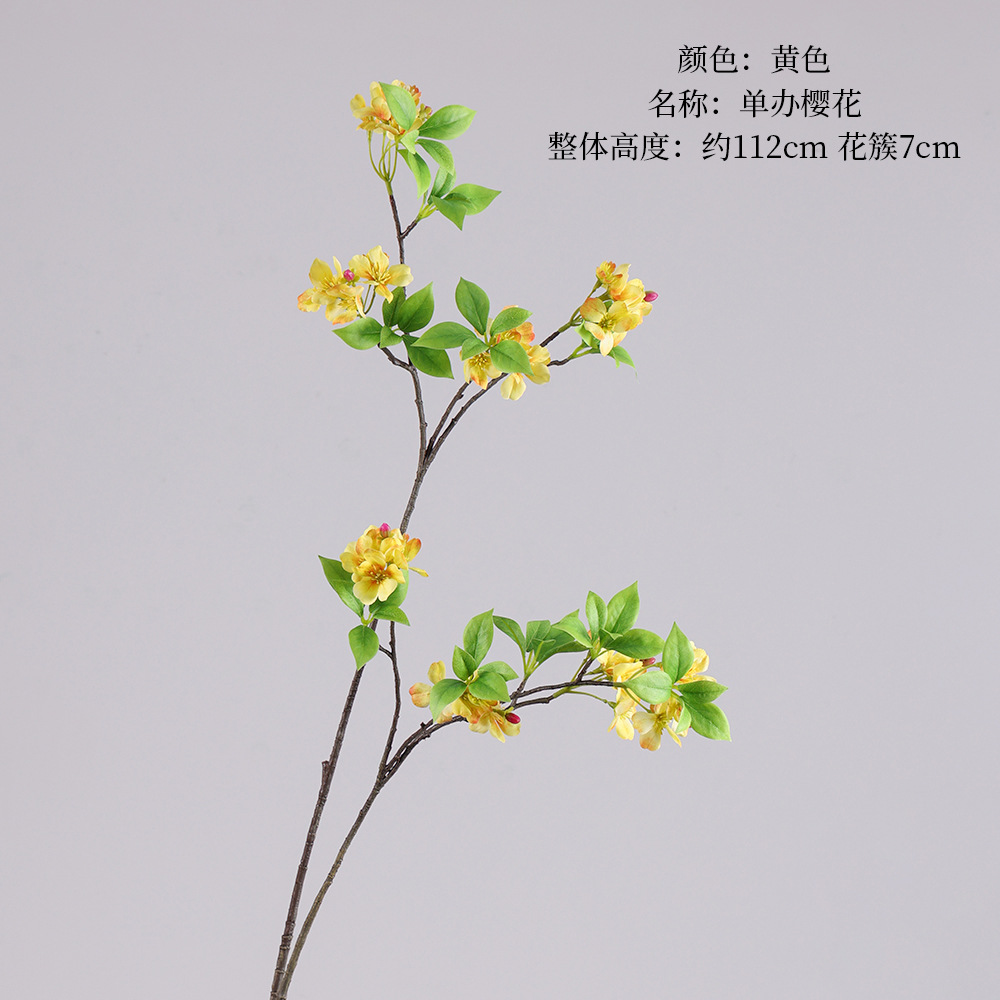 Single Sakura-yellow