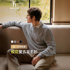 Hazzys/哈吉斯25秋季新款男士圆领保暖针织衫上衣一件代发