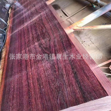 �t�Fľԭľ �t�Fľ��� �m����~���� �˰� Ҏ���� Ȫ��ľ�I����