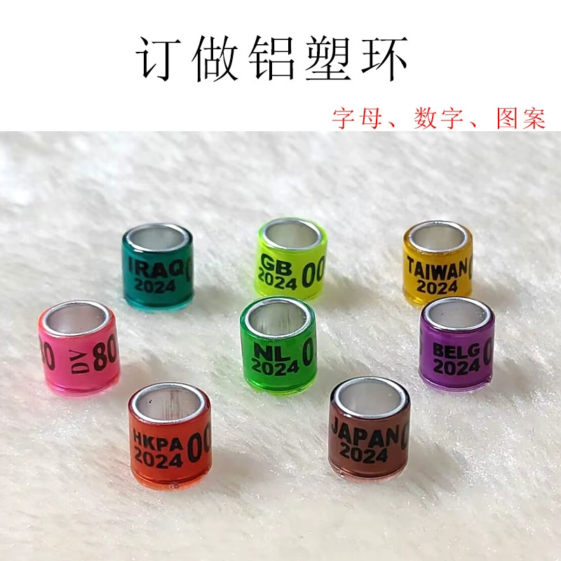 Голубь ноги кольцо Ноги голубь кольцо делая содержание кольца голубь кольцо