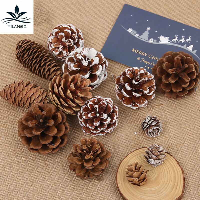 Flor de pino natural flores perpetuas de algodón flores secas árbol de navidad decoración accesorios ramo de navidad hechos a mano DIY material paquete