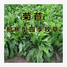 ��܊���ķN�Ӵ��~���ĲݷN�Ѷ������ļ������iţ���u���Z�~�ݷN��