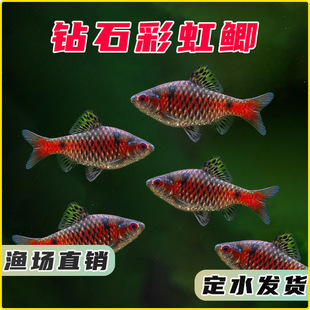 �ʯ�ʺ��a�M��������ˮ�ͺ����B�Ꭷ�~ԭ���~С�ͻ��wȺ���^�p�~