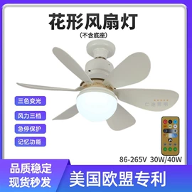 风扇灯;LED球泡灯;其他LED光源