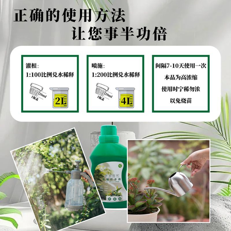 超浓缩植物营养液花肥家庭通用液体肥料家用绿植盆栽水培绿萝叶黄