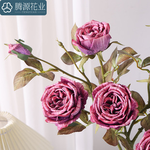 ���滨 �ͮ�õ�� �Ҿӿ͏dܛ�b���̱��W��c�Ƶ�[���廨�����ٻ�