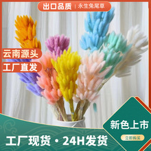 ��β�ݸɻ������滨��β�Ͳ��b͏d�[�O������Ⱦɫ�ɻ�