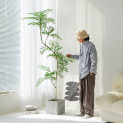 ジャカランダは緑の植木鉢をシミュレーションして着地します。