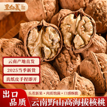 云南纸皮核桃原色无漂白大核桃批发 手捏即开云南薄皮生核桃批发