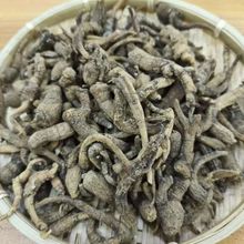 ����������Ρ����ɽ����ɽ�� ��β��